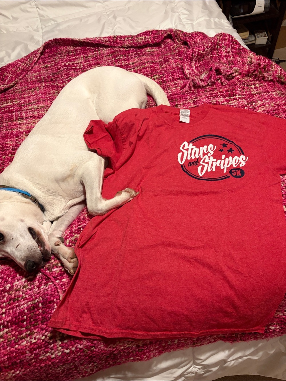 Gildan Red "Stars and Stripes 5K" Graphic Tee